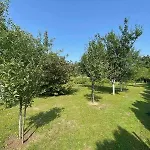 Enni * Bihać