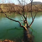 Enni * Bihać
