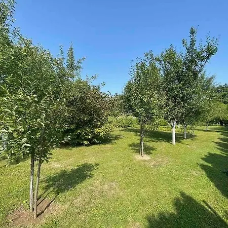 Enni * Bihać